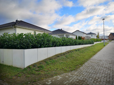 Umweltauflagen bei Baumaßnahmen in Schwerin auch tatsächlich umsetzen